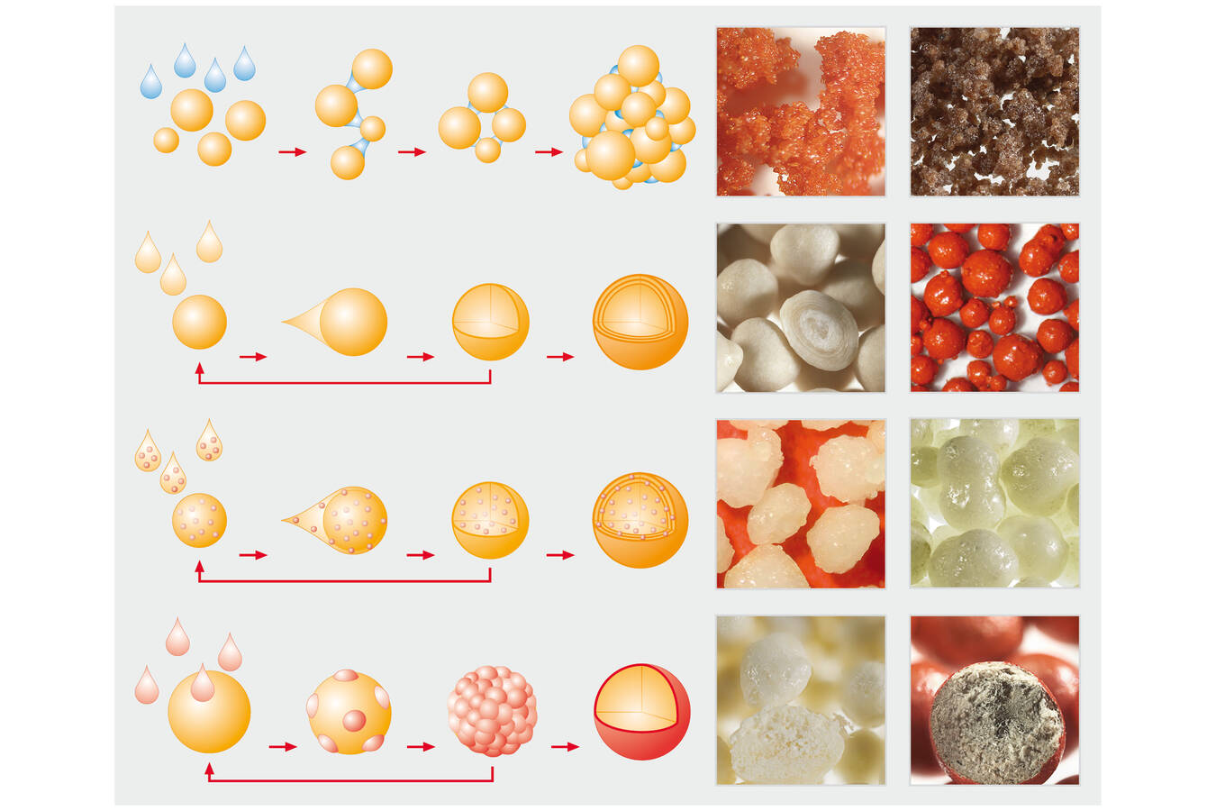 Figure 1: Spray agglomeration, spray granulation, microencapsulation and spray coating give powders and liquids improved properties for easier handling and diverse applications.