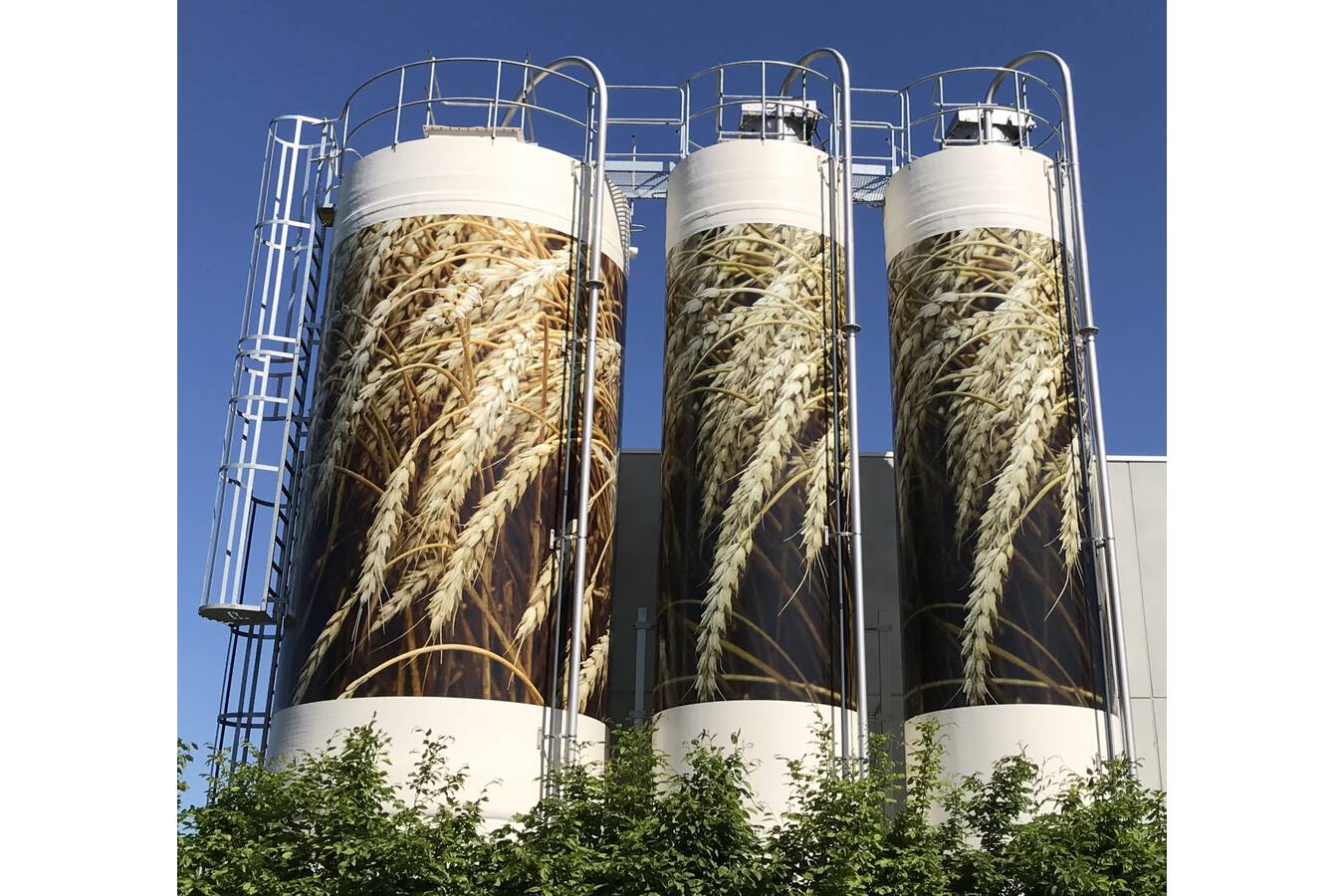 The benefits of composite silos and tanks in the food industry For various industries, such as the food industry, the agricultural sector, and the chemical industry, silos and tanks are essential components. With advancements in technologies, composite silos and tanks have emerged as a viable option. 