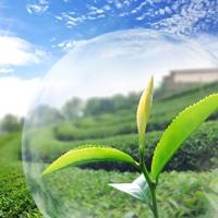 Webinar | Powder Processing in Agrochemicals 