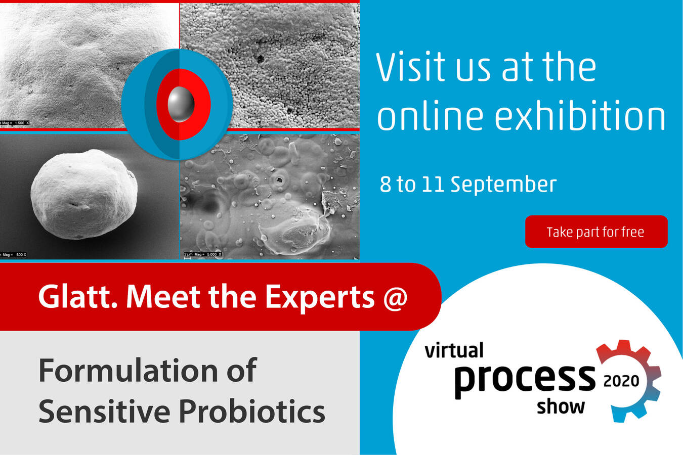 Erfolgreiche Formulierung temperatur-empfindlicher Probiotika Glatt Wirbelschicht Layering und Coating @ Virtual Process Show 8-11- September 2020