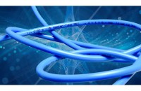 Strahlenvernetztes Schlauchprodukt