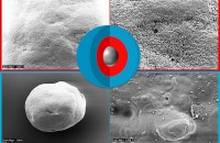 Trocknung und Stabilisierung von Probiotika